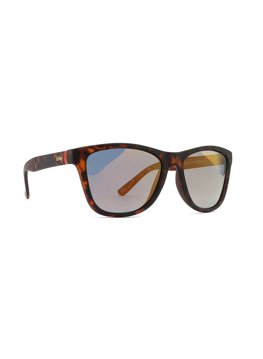 LC1039C02 - Brown Revo Lens - DEMI Plastic Frame - Sunglasses