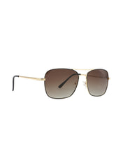 LC1029C03 - Brown Lens - Brown Frame - Sunglasses