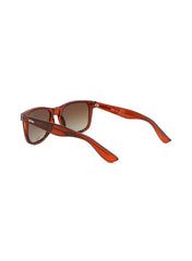 LC1018C03 - Gradient Brown - Shiny Brown - Full-Frame - Sunglasses