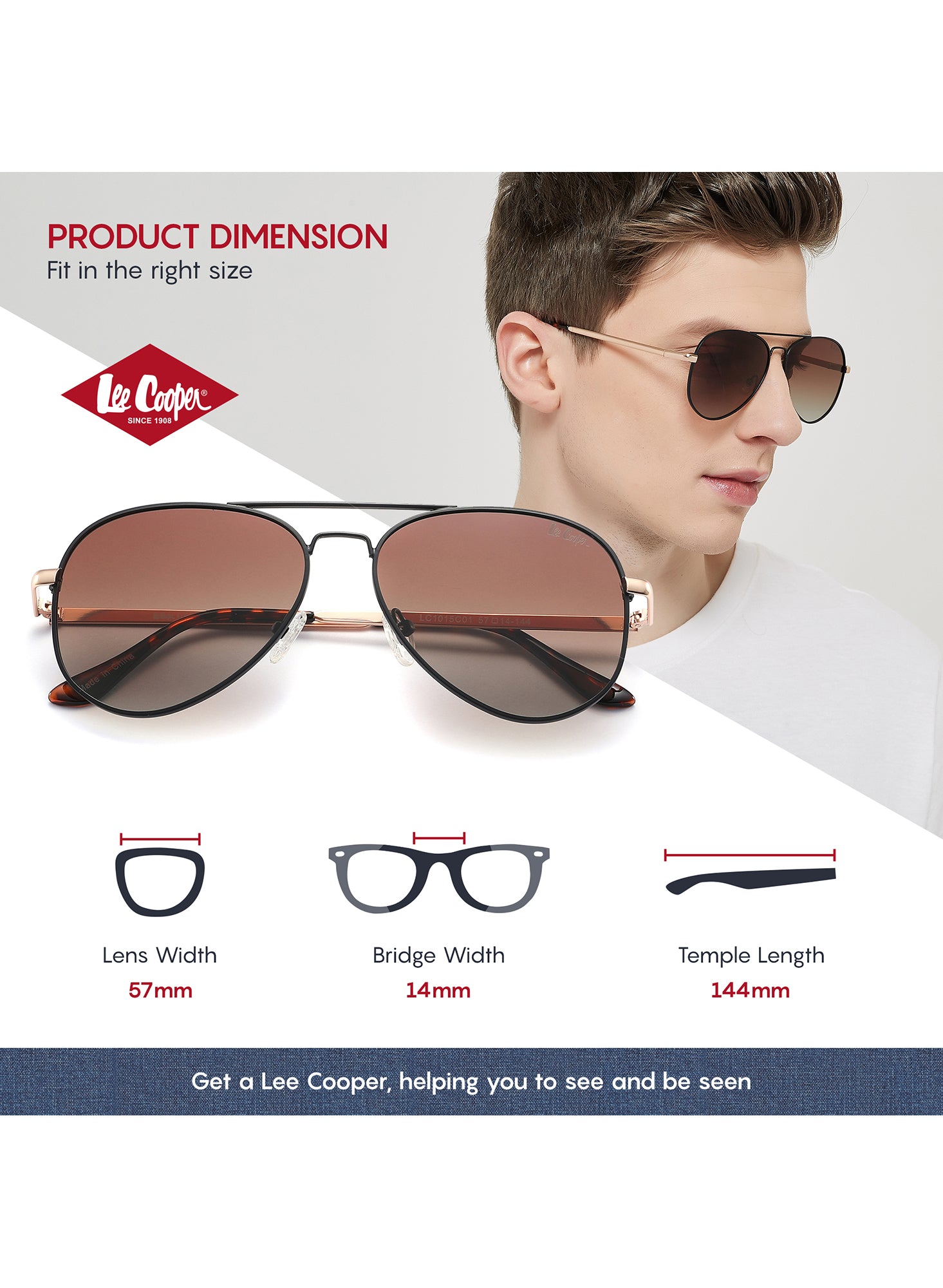 LC1015C01 - Gradient Lenses - Stylish Temples - Sunglasses